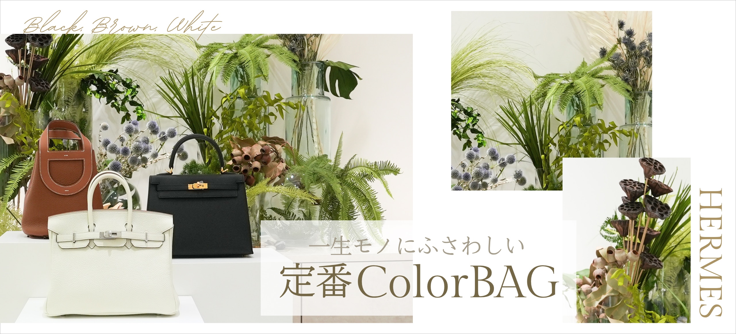 定番ColorBAG