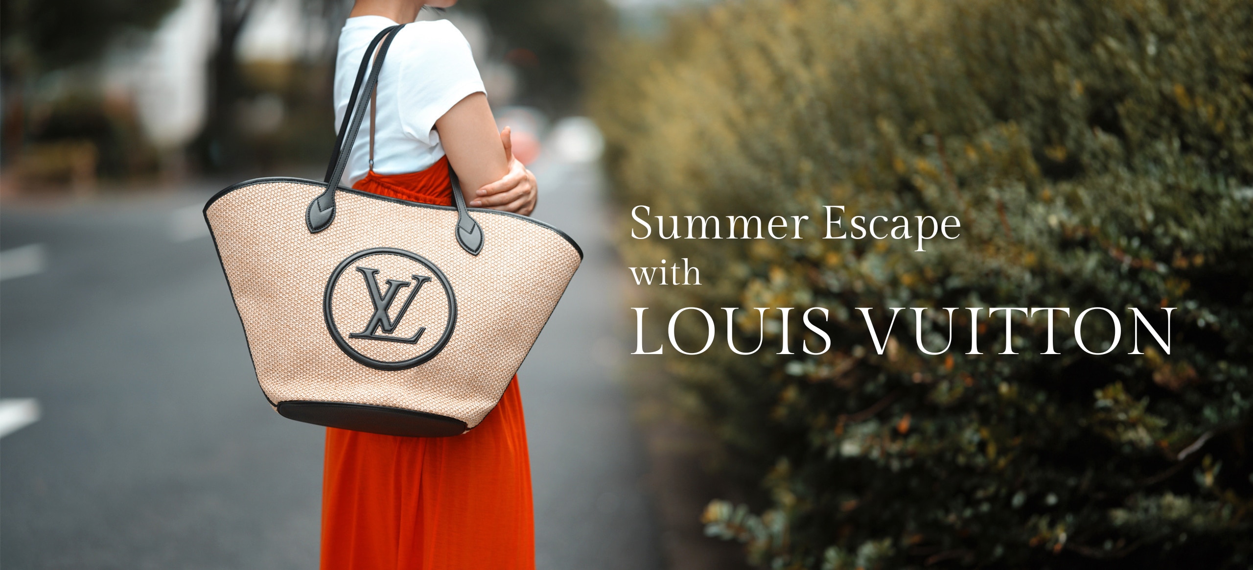 LOUIS VUITTON BAGS