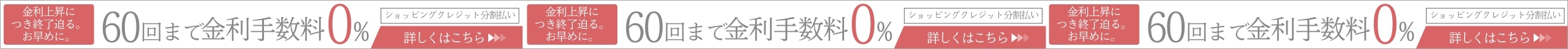 期間限定で60回払いまで金利0％