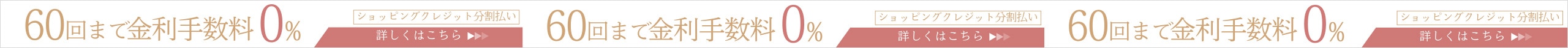 60回払いまで金利0％