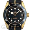 TUDOR チューダー ヘリテージブラックベイ ブロンズ 79250BB ブッヘラー創業130周年記念モデル ファブリックストラップ