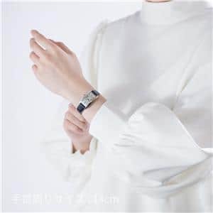 CARTIER カルティエ タンク アメリカン SM WSTA0082