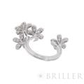Van Cleef & Arpels ヴァン クリーフ&アーペル ソクラテス アントレ レ ドア リング ホワイトゴールド ダイヤモンド 9号 VCARB14500 1