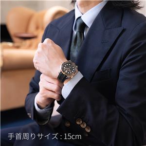 OMEGA オメガ シーマスター ダイバー300M コーアクシャル マスタークロノメーター 42MM 210.22.42.20.01.002