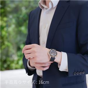 OMEGA オメガ シーマスター ダイバー300M コーアクシャル マスタークロノメーター 42MM 210.22.42.20.01.002