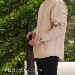 CHOPARD ショパール アルパイン イーグル ラージ 298600-3001