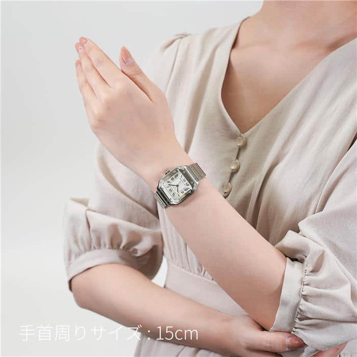 CARTIER カルティエ サントス ドゥ カルティエ MM WSSA0029 29