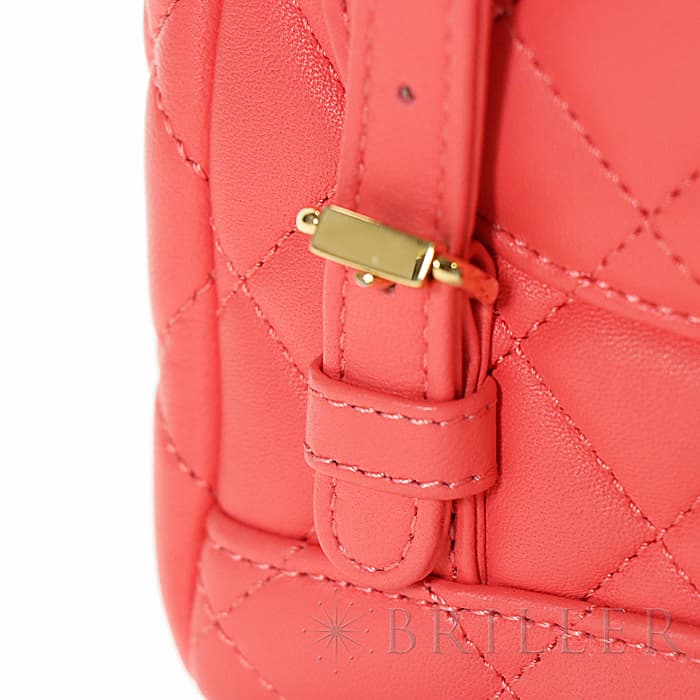 CHANEL シャネル その他 バックパック ラムスキン ピンク  ゴールド金具 A69964 B00250 N0412 16