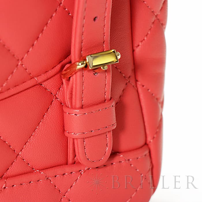 CHANEL シャネル その他 バックパック ラムスキン ピンク  ゴールド金具 A69964 B00250 N0412 17