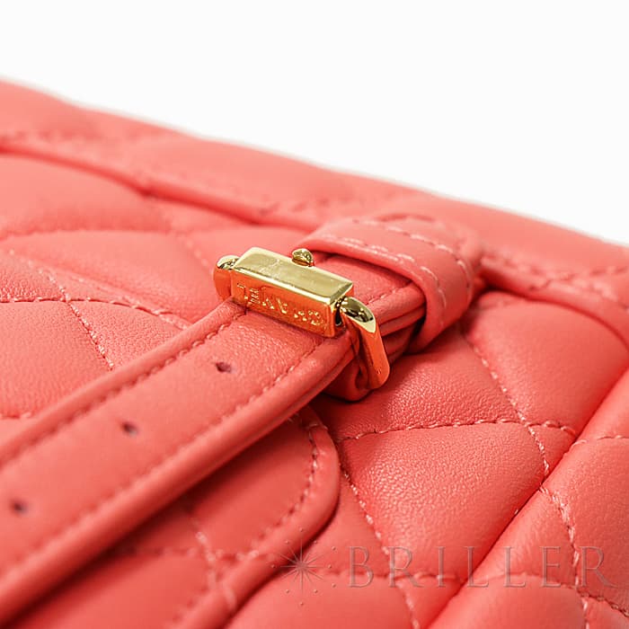 CHANEL シャネル その他 バックパック ラムスキン ピンク  ゴールド金具 A69964 B00250 N0412 22