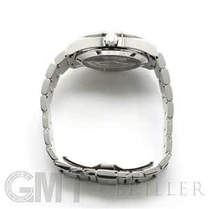 OMEGA オメガ シーマスター アクアテラ 150M マスター コーアクシャル 38.5MM 231.15.39.21.55.001