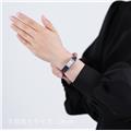 JAEGER LECOULTRE ジャガー・ルクルト レベルソ クラシック オリジン Q3878560【2026年新作】 28
