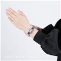JAEGER LECOULTRE ジャガー・ルクルト レベルソ クラシック オリジン Q3878560【2026年新作】 29