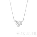 HARRY WINSTON ハリー・ウィンストン スパークリングクラスター ペンダント ネックレス プラチナ ダイヤモンド PEDPCLRFSPC 3