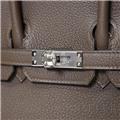 HERMES エルメス バーキン 25 トゴ ヴェールロデン シルバー金具 21