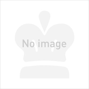 CARTIER カルティエ サントス ガルベ SM MOP W20103C4 アジア限定