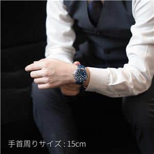 OMEGA オメガ シーマスター ダイバー300M 210.32.42.20.03.001