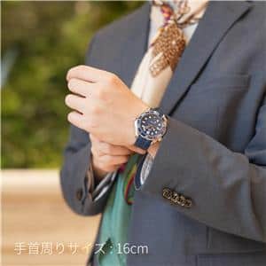 OMEGA オメガ シーマスター ダイバー300M 210.32.42.20.03.001