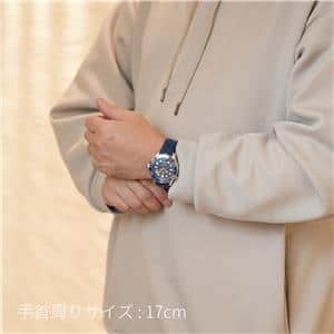 OMEGA オメガ シーマスター ダイバー300M 210.32.42.20.03.001