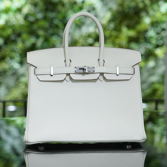 HERMES エルメス バーキン 25 トゴ マッシュルーム シルバー金具