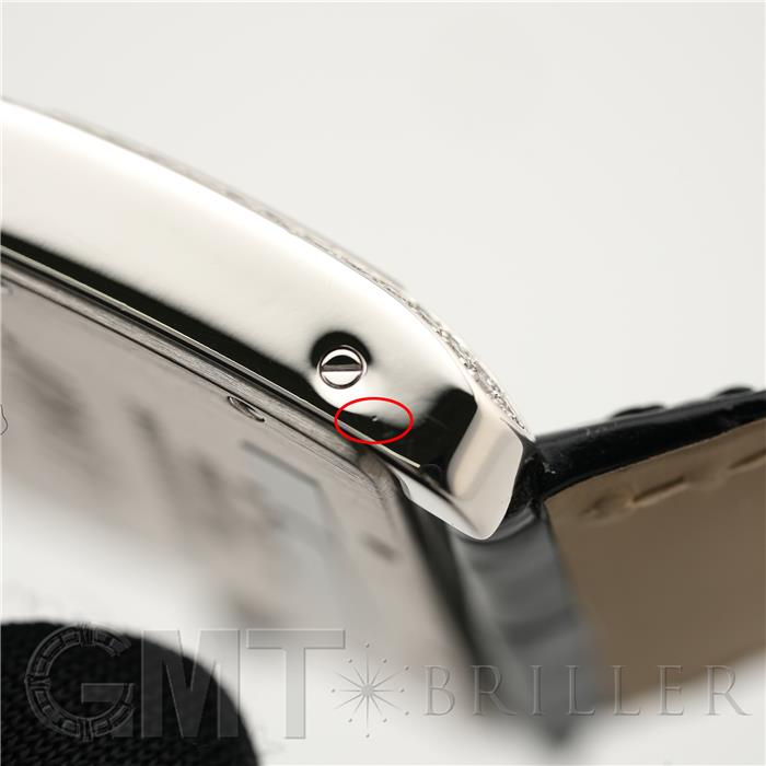 CARTIER カルティエ タンク ディヴァン ミニ  WA301236 6