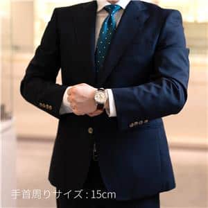 SEIKO セイコー グランドセイコー GMT SBGM221