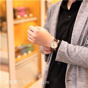 SEIKO セイコー グランドセイコー GMT SBGM221