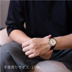 SEIKO セイコー グランドセイコー GMT SBGM221