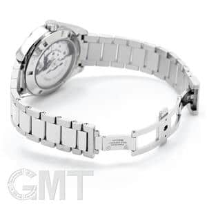 OMEGA オメガ シーマスター アクアテラ デイデイト 41.5mm 231.10.42.22.02.001