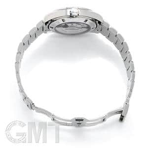 OMEGA オメガ シーマスター アクアテラ デイデイト 41.5mm 231.10.42.22.02.001