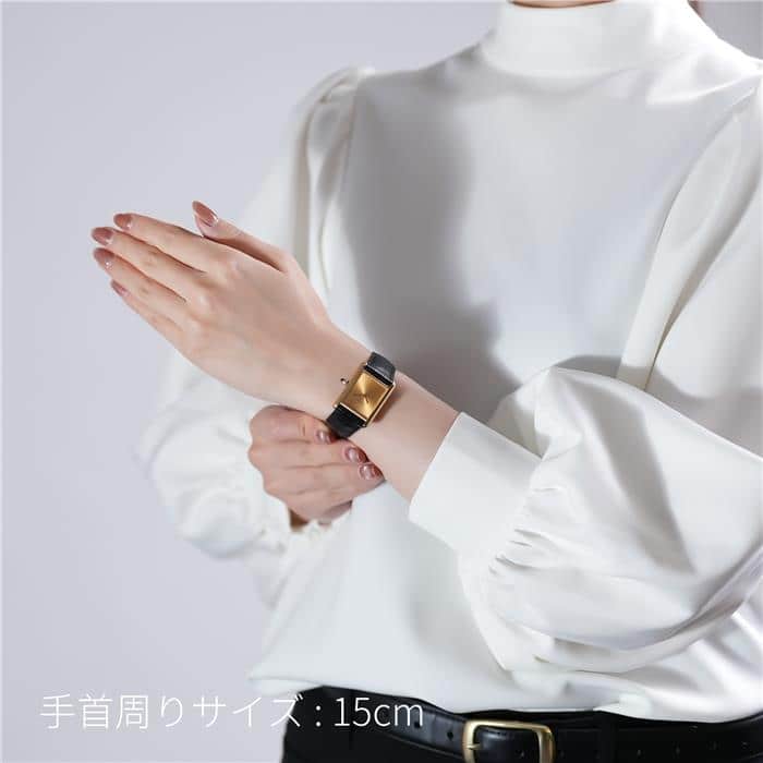 CARTIER カルティエ タンク ルイ カルティエ ウォッチ ミディアムモデル WGTA0211 28