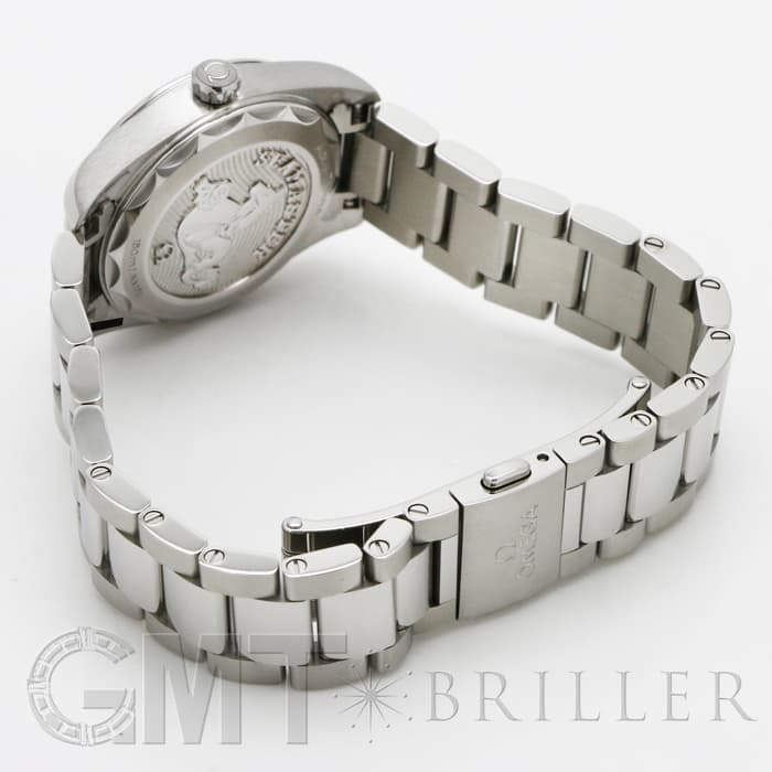 OMEGA オメガ シーマスター アクアテラ 150M 28MM 220.10.28.60.60.001 16