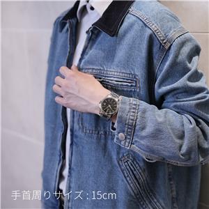 SEIKO セイコー グランドセイコー ヘリテージコレクション メカニカルハイビート36000 SBGH301
