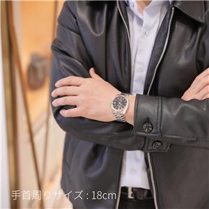 SEIKO セイコー グランドセイコー ヘリテージコレクション メカニカルハイビート36000 SBGH301