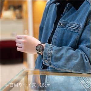 TUDOR チューダー ブラックベイ M7939G1A0NRU-0002