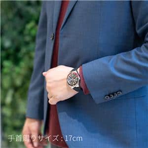 TUDOR チューダー ブラックベイ M7939G1A0NRU-0002