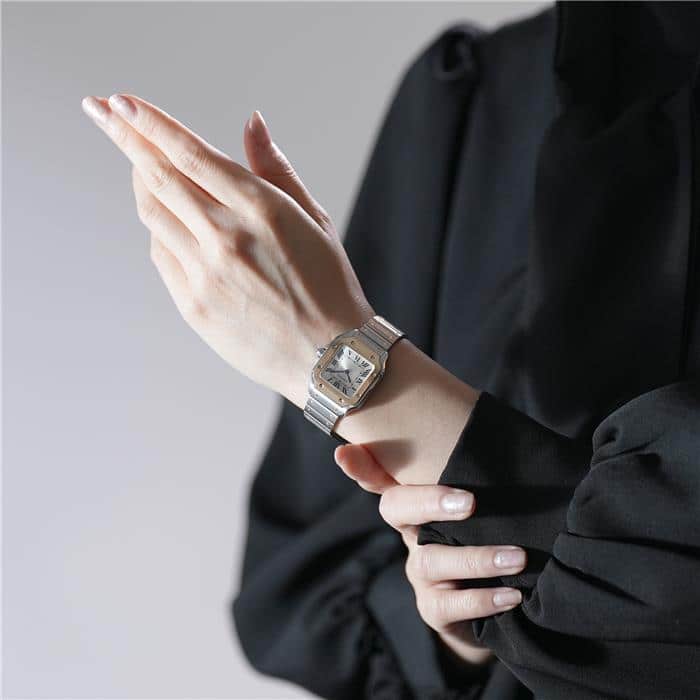 CARTIER カルティエ サントス ドゥ カルティエ W2SA0033 28