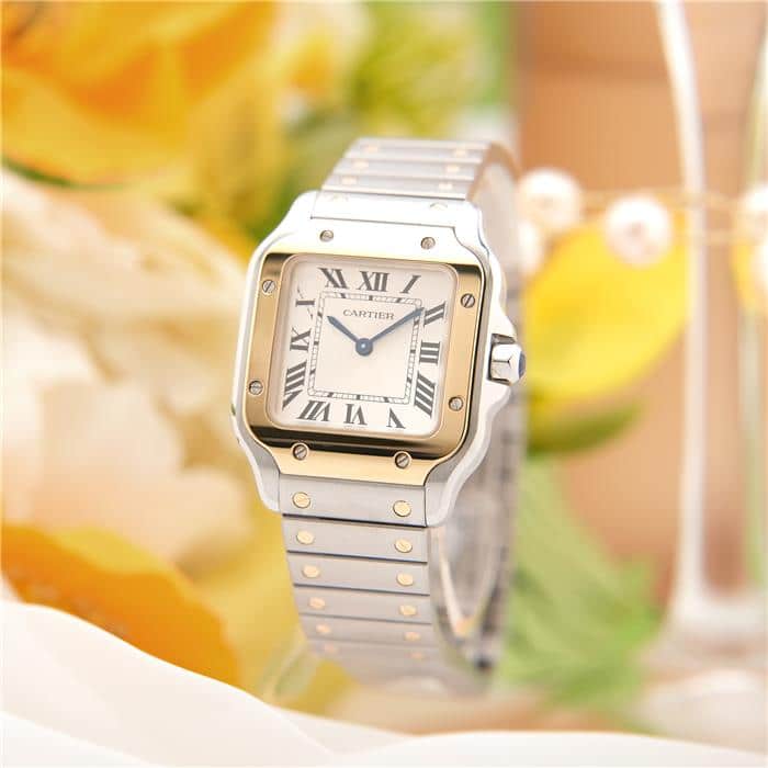 CARTIER カルティエ サントス ドゥ カルティエ W2SA0033 2