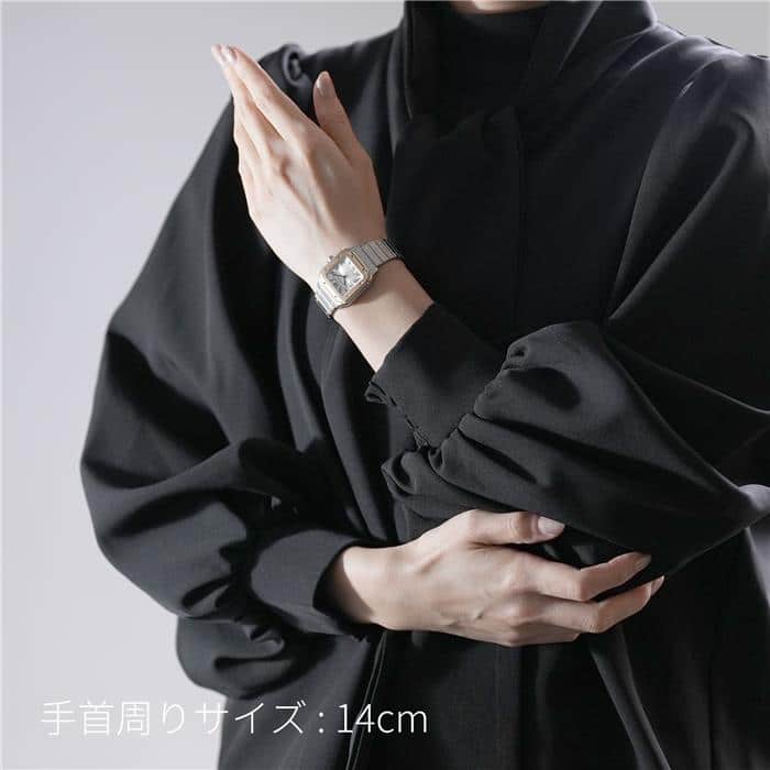 CARTIER カルティエ サントス ドゥ カルティエ W2SA0033 29