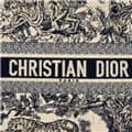 CHRISTIAN DIOR クリスチャン ディオール ブックトート バッグ ラージ トワル ドゥ ジュイ エンブロイダリー M1286ZTDT_M34I 4