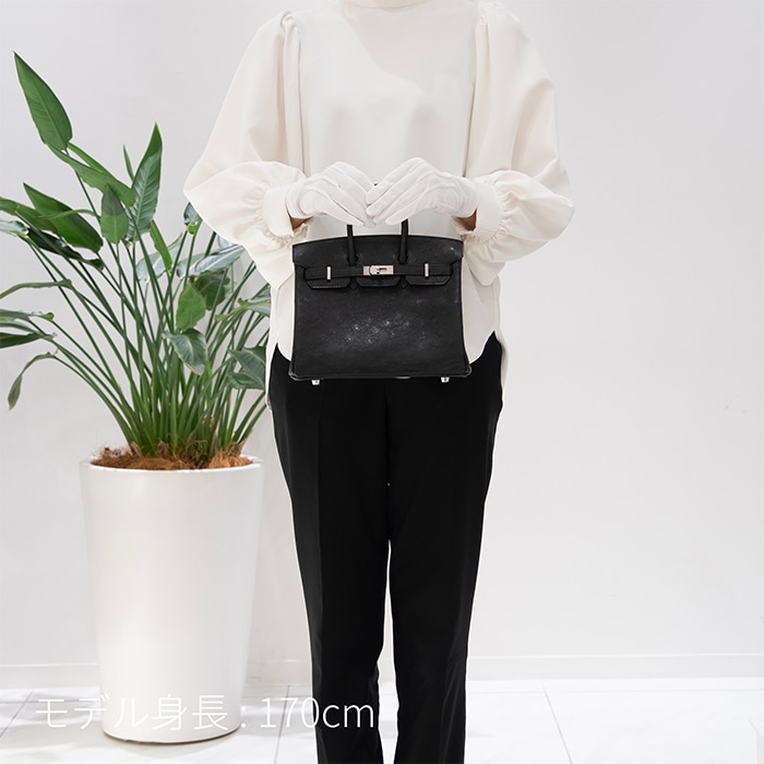 HERMES エルメス バーキン 25 オーストリッチ ノワール シルバー金具 29