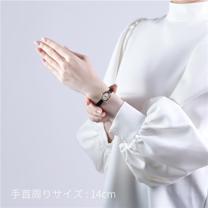 CARTIER カルティエ ベニュワール ウォッチ ミニモデル WGBA0075 28