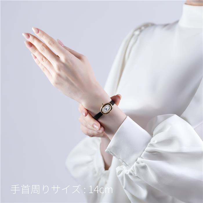 CARTIER カルティエ ベニュワール ウォッチ ミニモデル WGBA0075 29