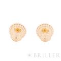 Van Cleef & Arpels ヴァン クリーフ&アーペル ペルレ クルール ピアス カーネリアン ローズゴールド VCARP4E000 1