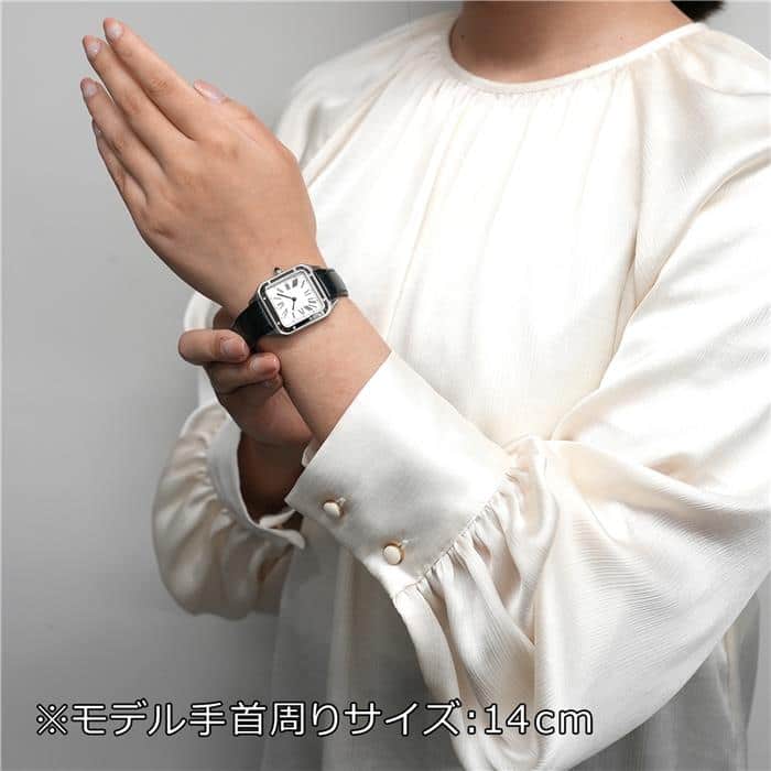 CARTIER カルティエ サントス デュモン SM クォーツ WSSA0023 29