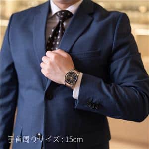 OMEGA オメガ シーマスター 300 マスターコーアクシャル ブルー 233.60.41.21.03.001