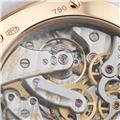 PATEK PHILIPPEパテック・フィリップ コンプリケーション クロノグラフ 7071R-010 25