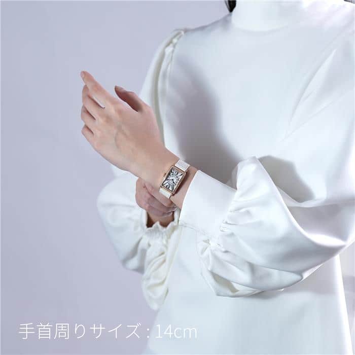 FRANCK MULLER フランク・ミュラー ロングアイランド 902QZ D1R BLC 5N【アウトレット】 28