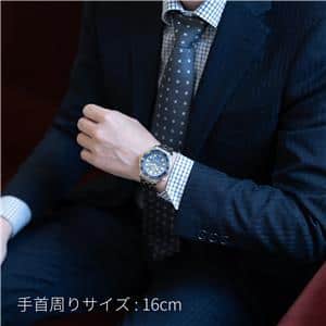 OMEGA オメガ シーマスター ダイバー 300M コーアクシャル マスタークロノメーター210.20.42.20.03.001