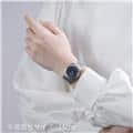 TUDOR チューダー ロイヤル M28400-0006 29